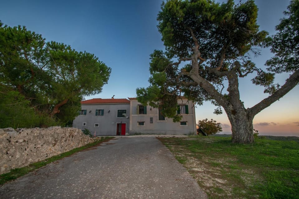Property building, Spring, Day, Natural landscape