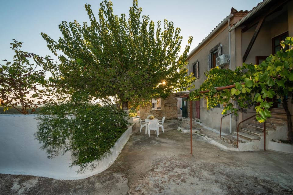 Property building, Patio, Natural landscape, Garden, View (from property/room), Garden view