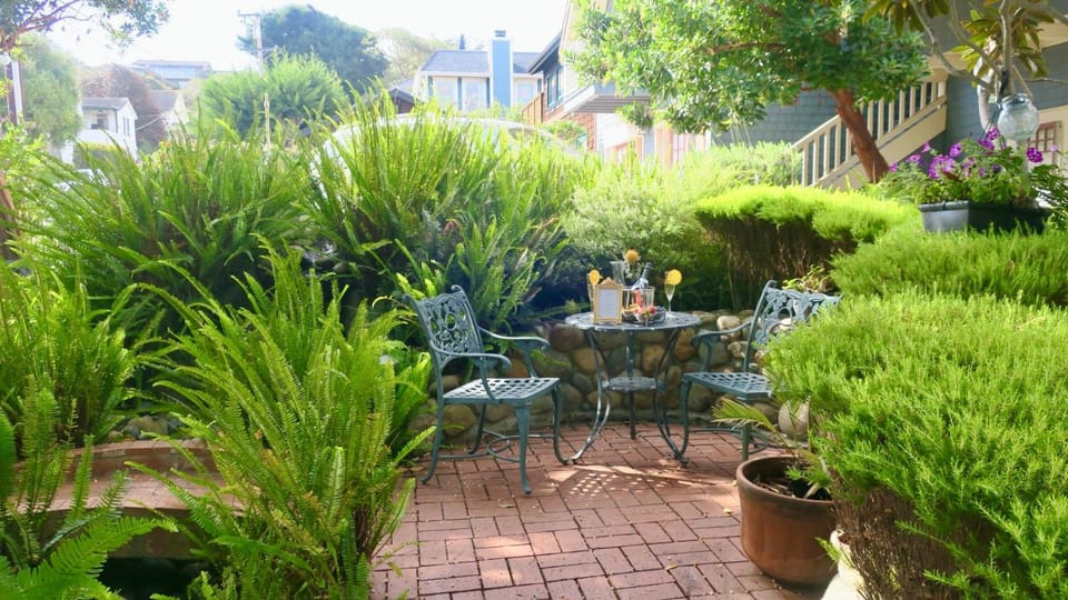 Patio, Day, Garden, Garden view