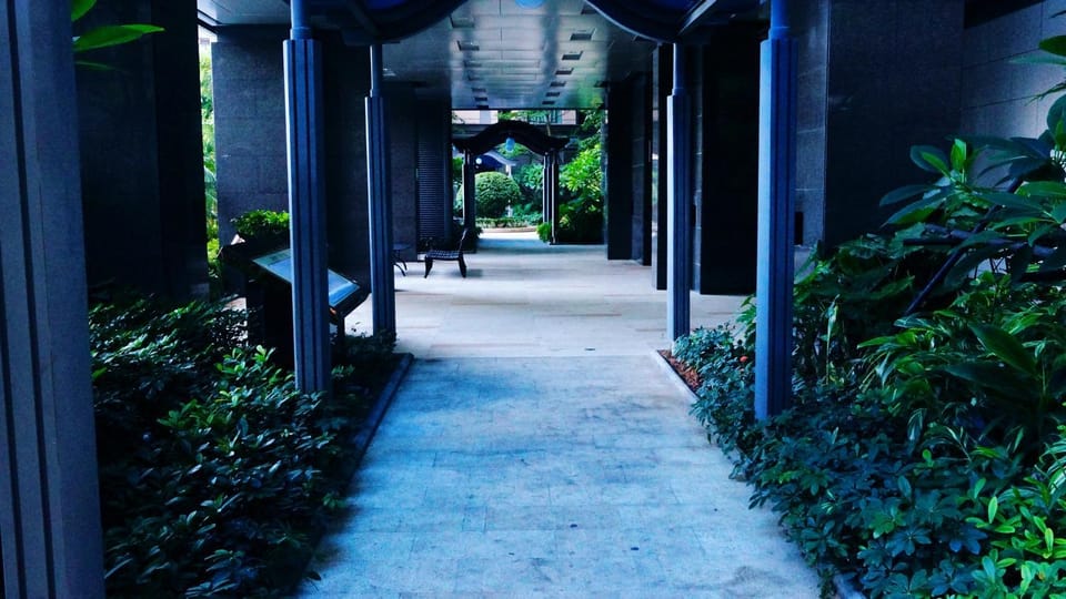 Garden, Garden view