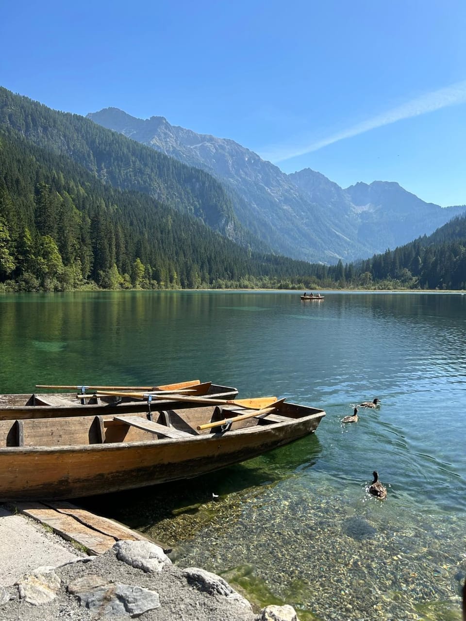 Haus Annabelle Bed and Breakfast in Salzburgerland