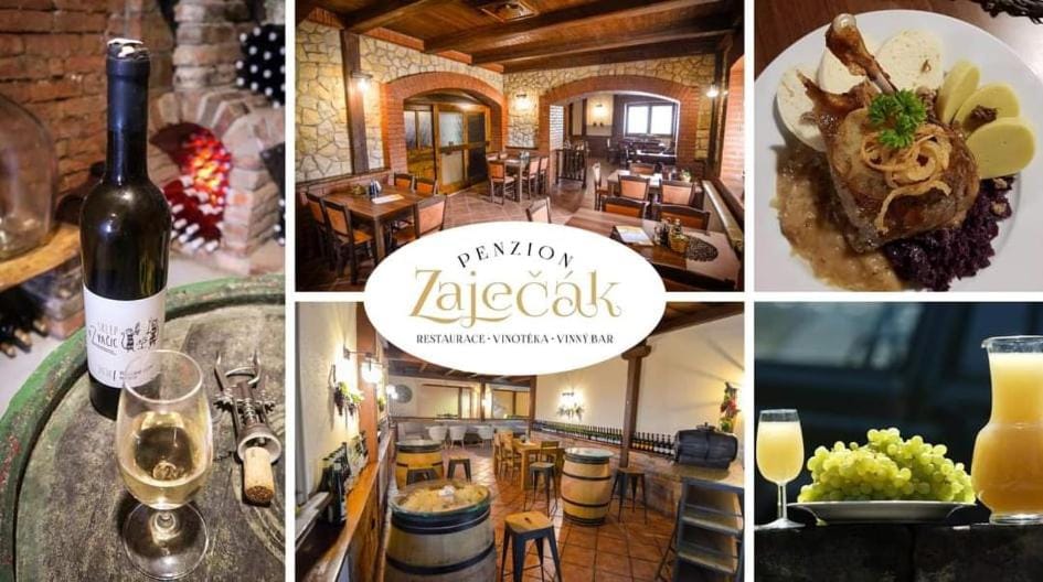 Penzion Zaječák Bed and Breakfast in South Moravian Region