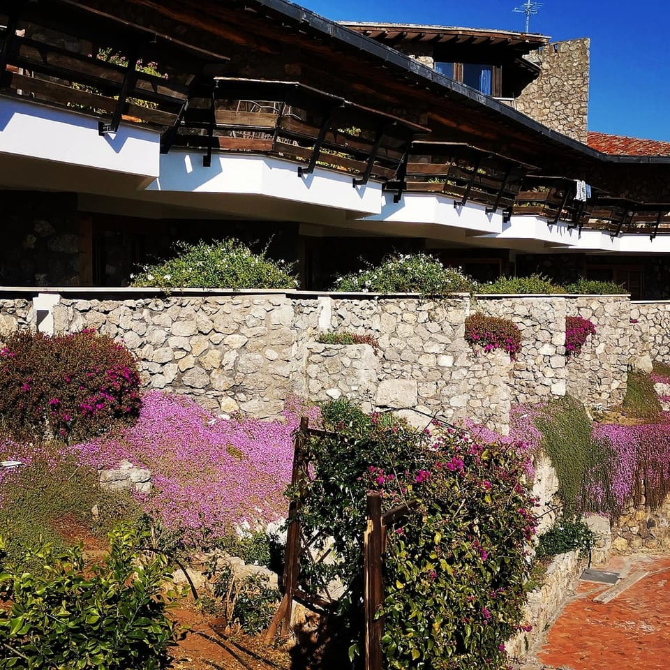 Garden view