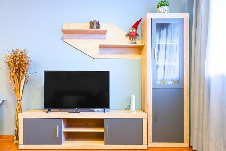 TV and multimedia