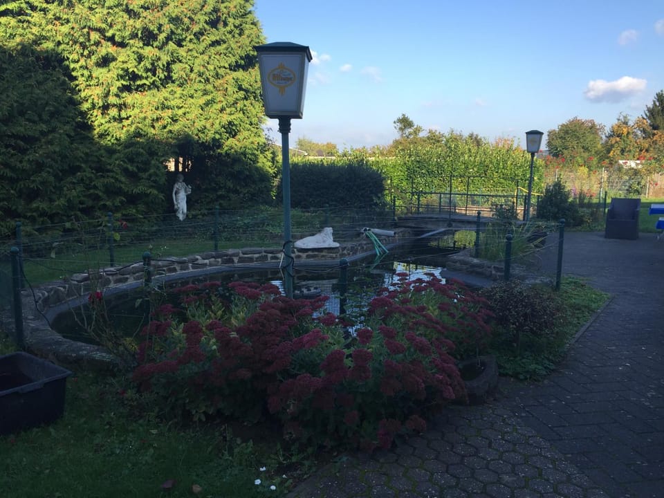 Balcony/Terrace, Garden view