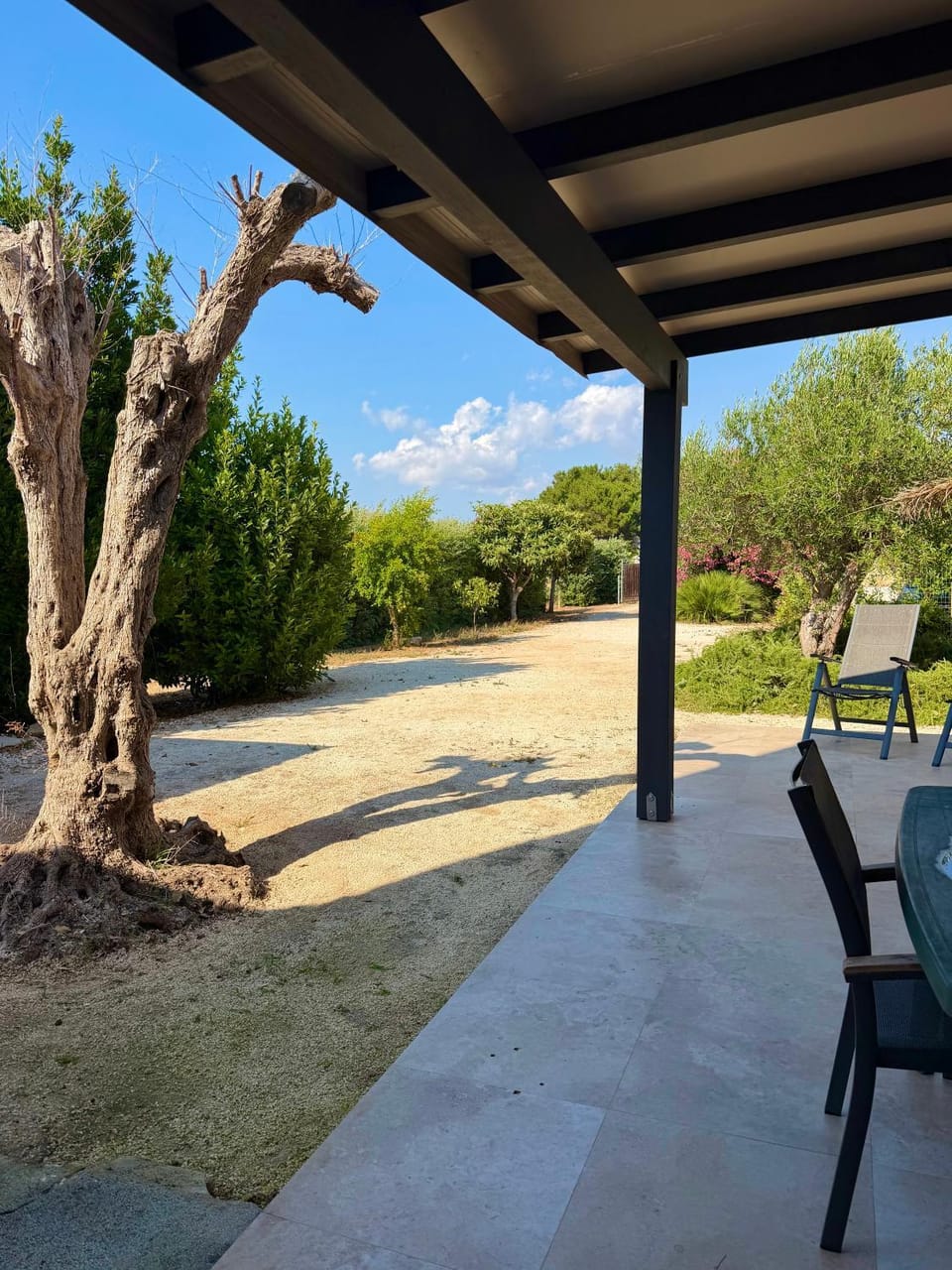 Garden, Garden view, Garden view