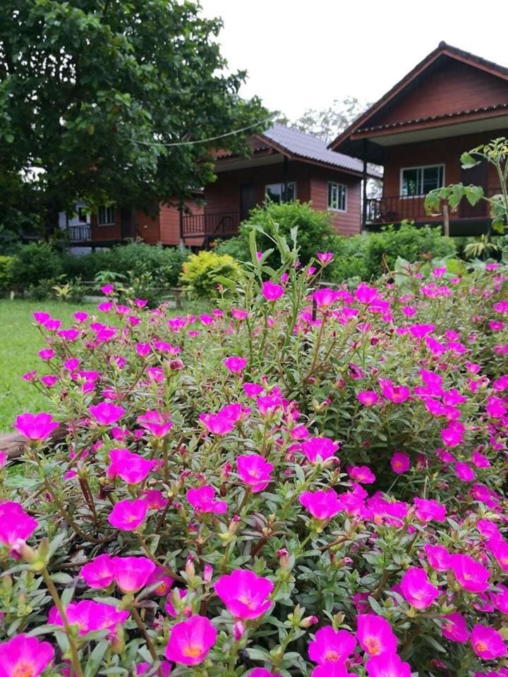 Pasanchai Bungalow Bed and Breakfast in Vang Vieng