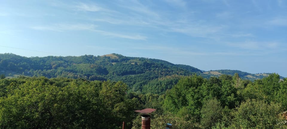 Apartmani Mali Raj Rudnik Country House in Serbia