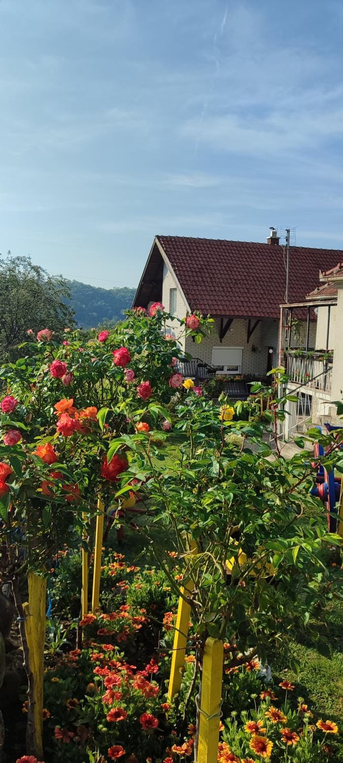 Apartmani Mali Raj Rudnik Country House in Serbia