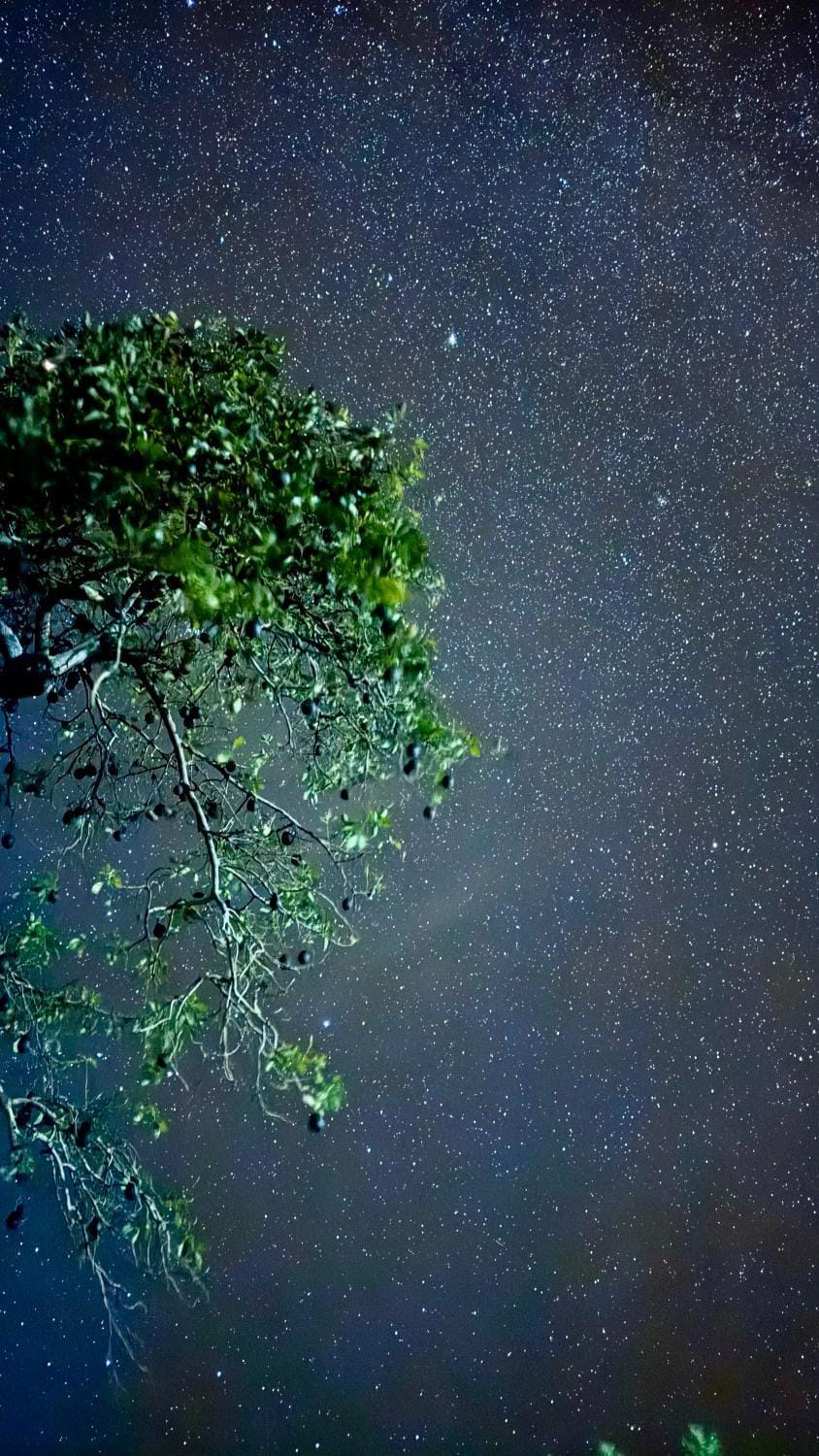 Night, Natural landscape
