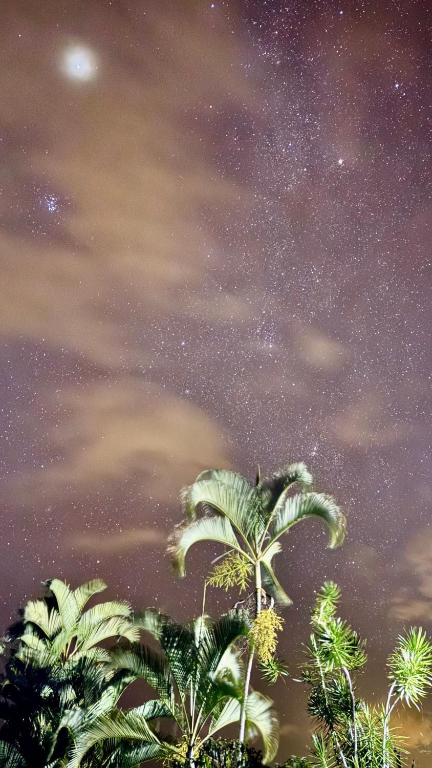 Night, Natural landscape