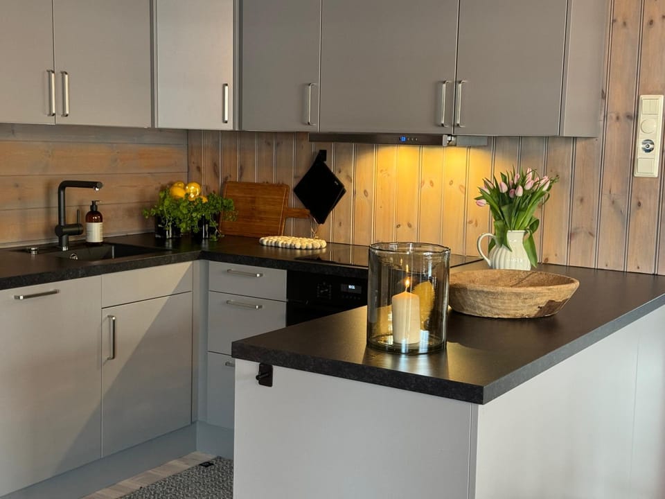 Coffee/tea facilities, Kitchen or kitchenette, dishwasher, stove