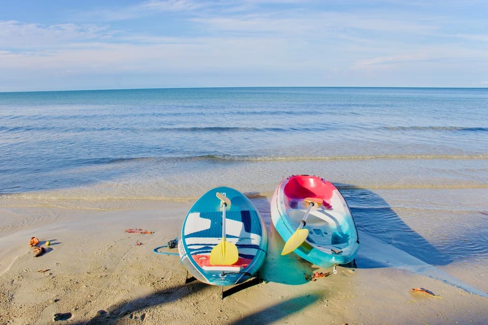 Activities, Beach, Sea view, Area and facilities