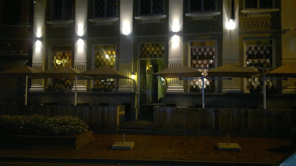 Hotel Palace Hotel in Flanders