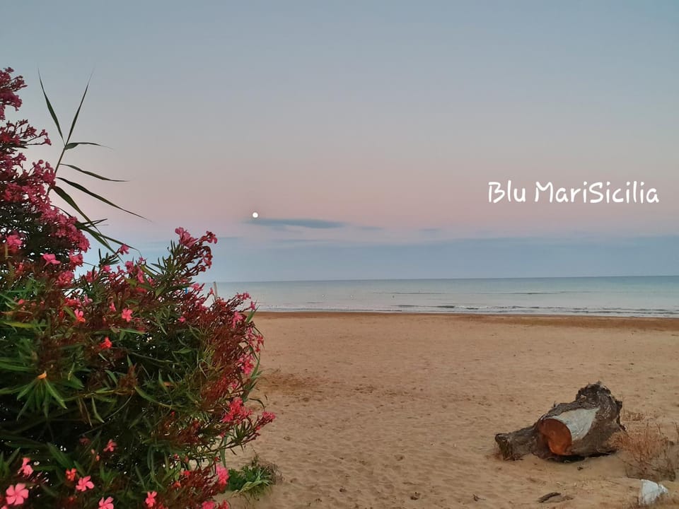 Blu Maris Sicilia Guesthouse Bed and Breakfast in Marina di Ragusa