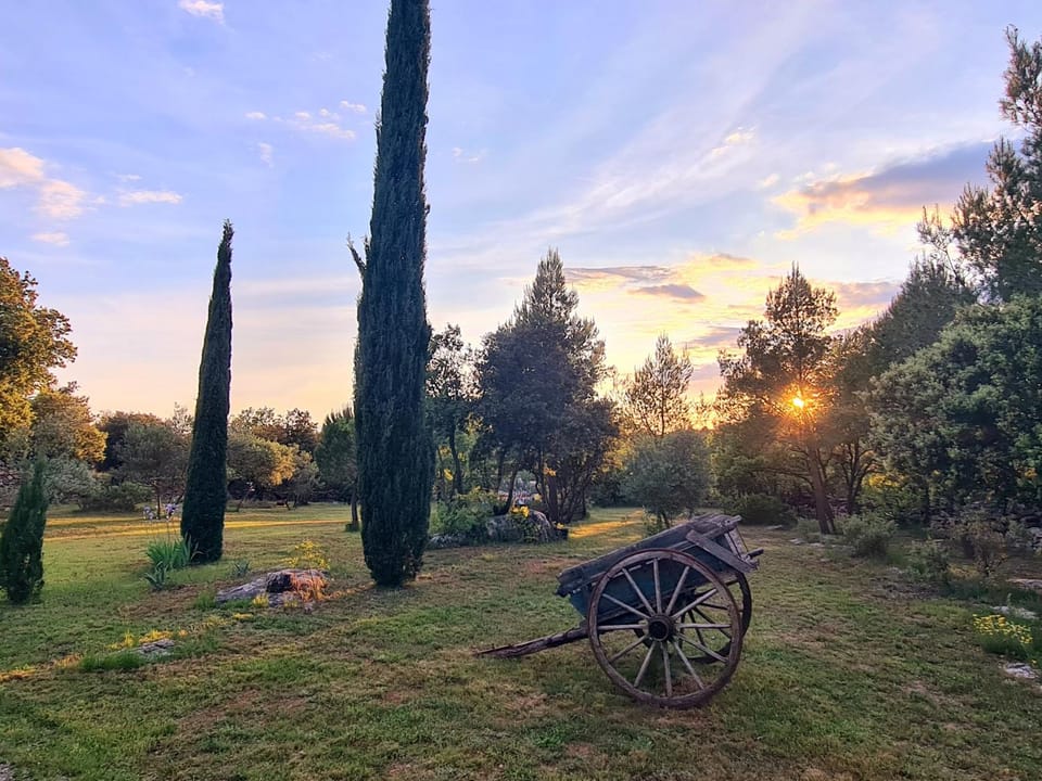 Garden view