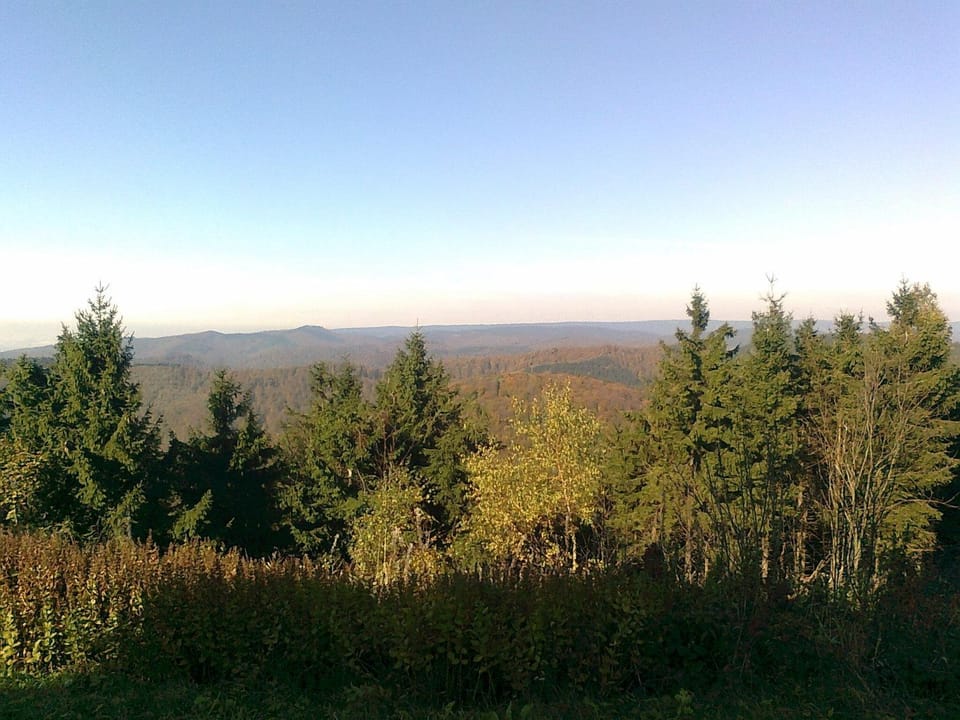 Natural landscape, Area and facilities