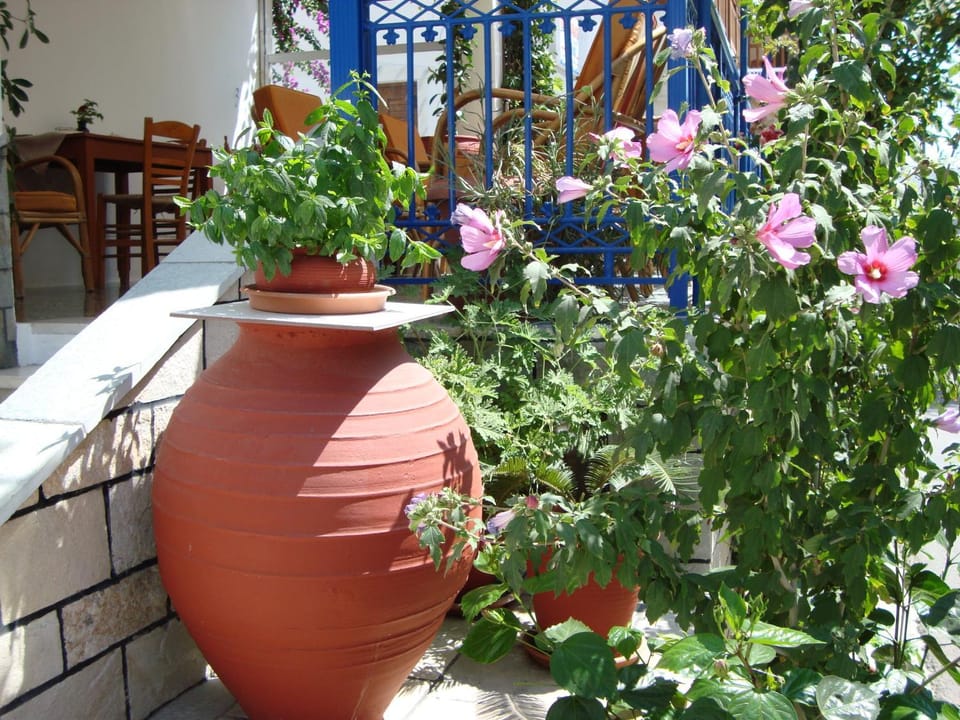 Vakhos Hotel in Naxos