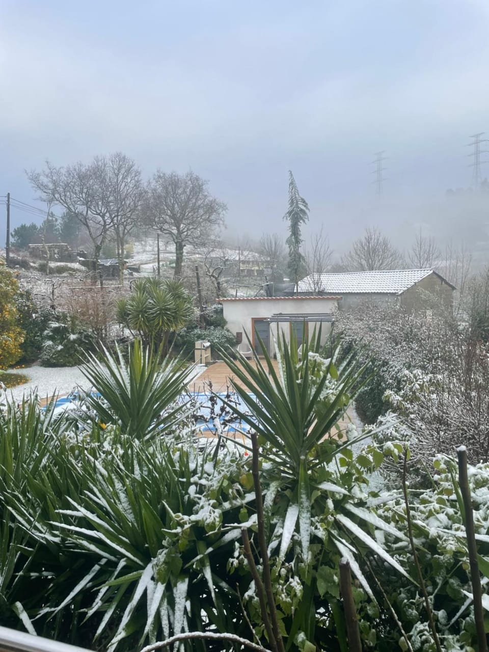 Casa do Serrador Bed and Breakfast in Viana do Castelo District, Portugal
