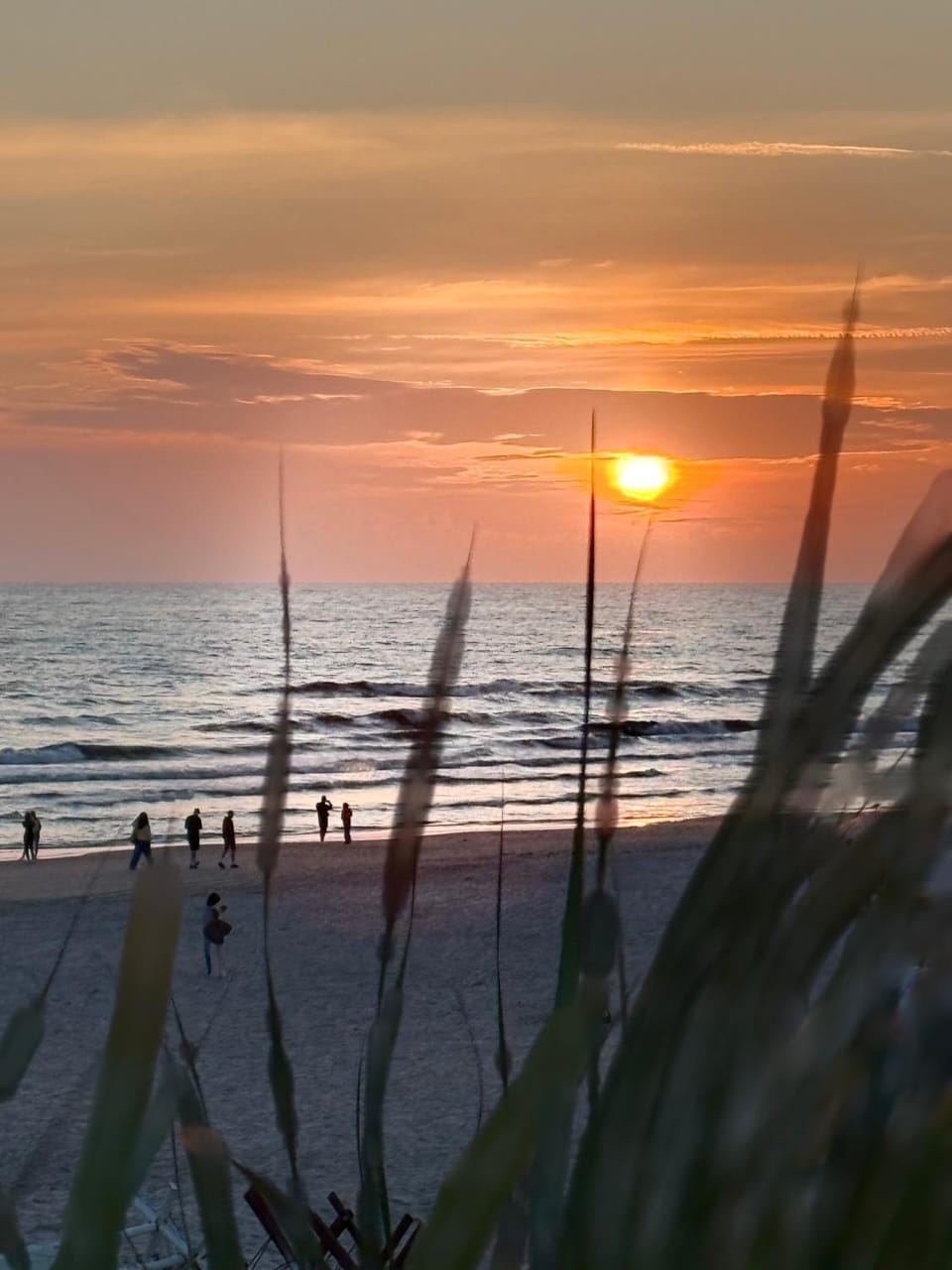 Natural landscape, Sea view, Sunset
