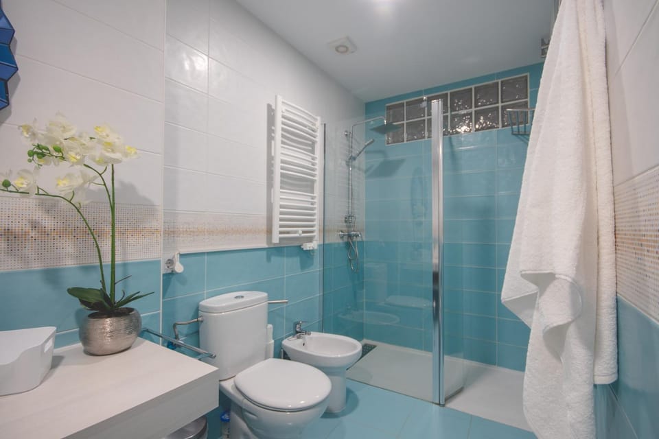 Apartamentos Coso de San Albin Apartment in Mérida