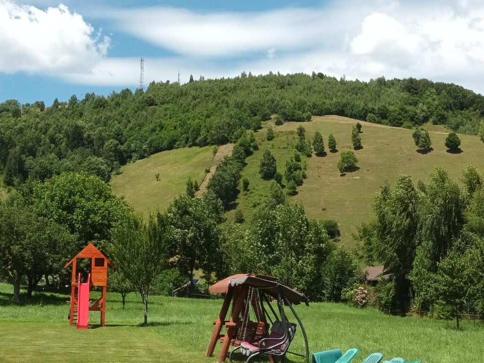 La Remus House in Brașov County
