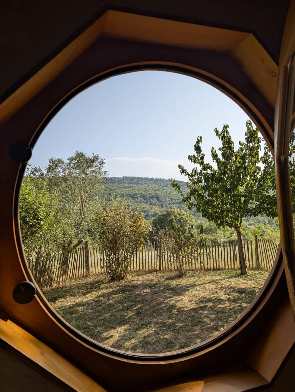 View (from property/room)