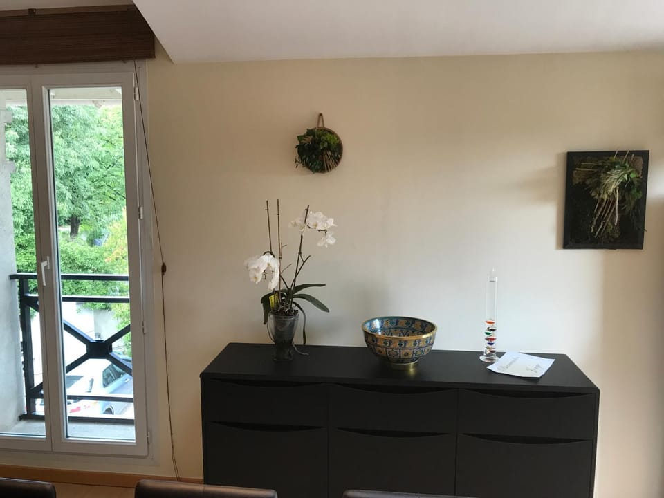 Decorative detail, Area and facilities