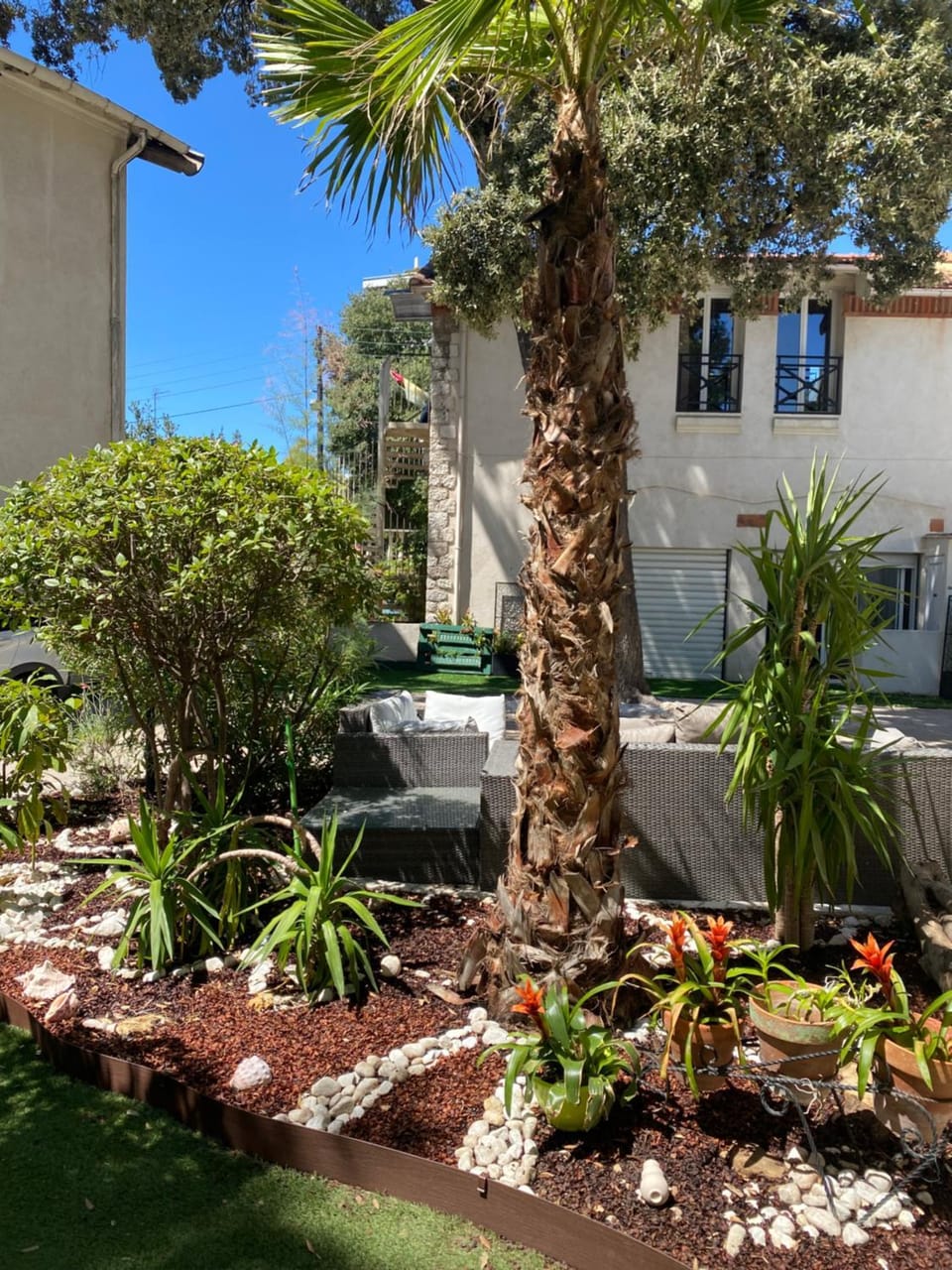 Garden view