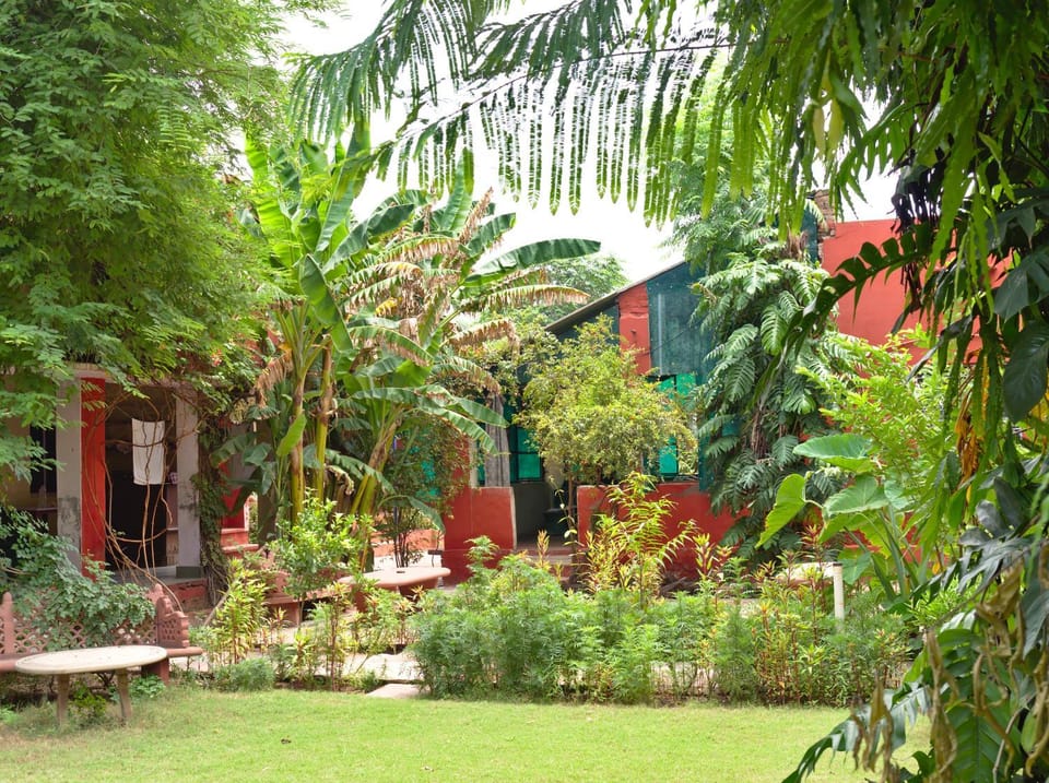Jungle Lodge Vacation rental in Uttar Pradesh