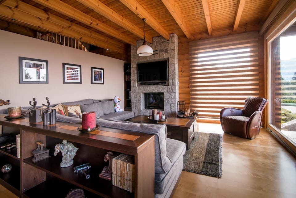 Library, TV and multimedia, Balcony/Terrace, Living room, Photo of the whole room, Seating area