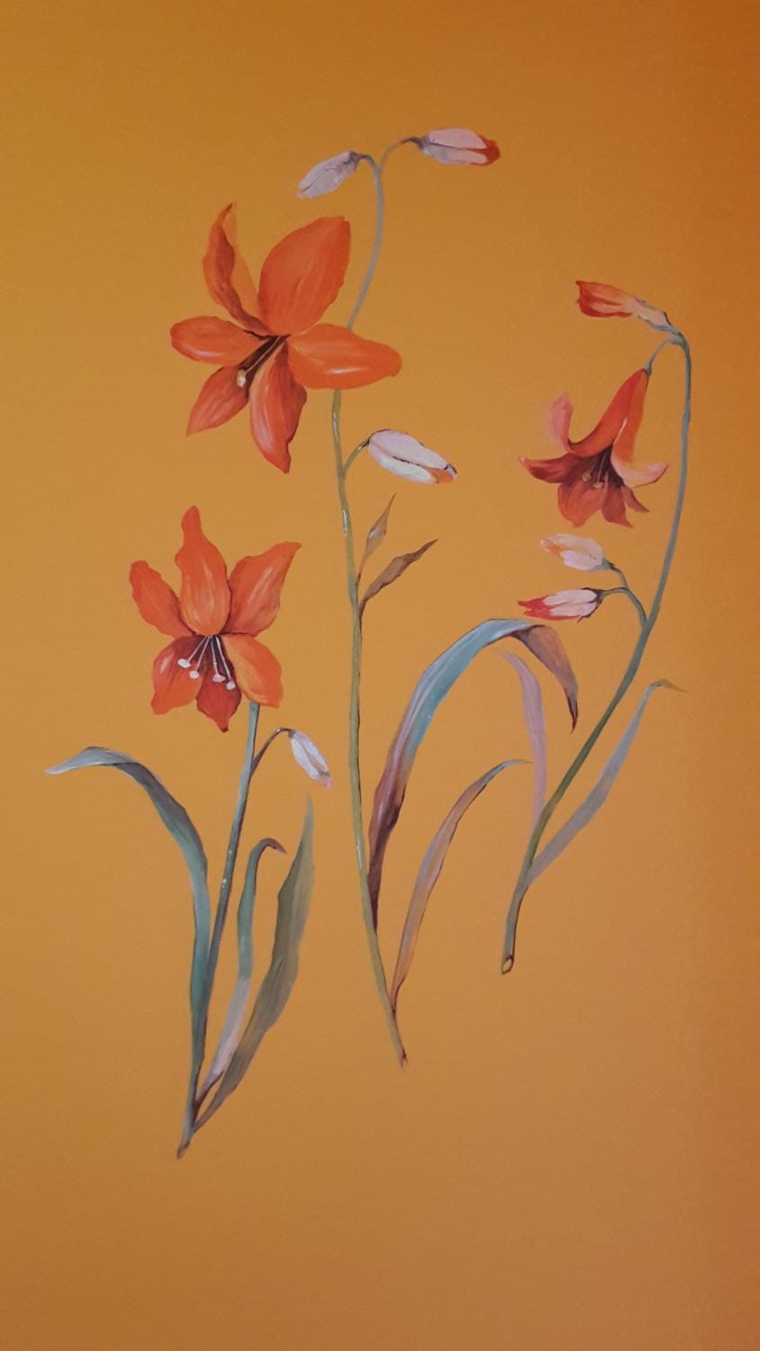 "El Fiù" Apartment in Piedmont