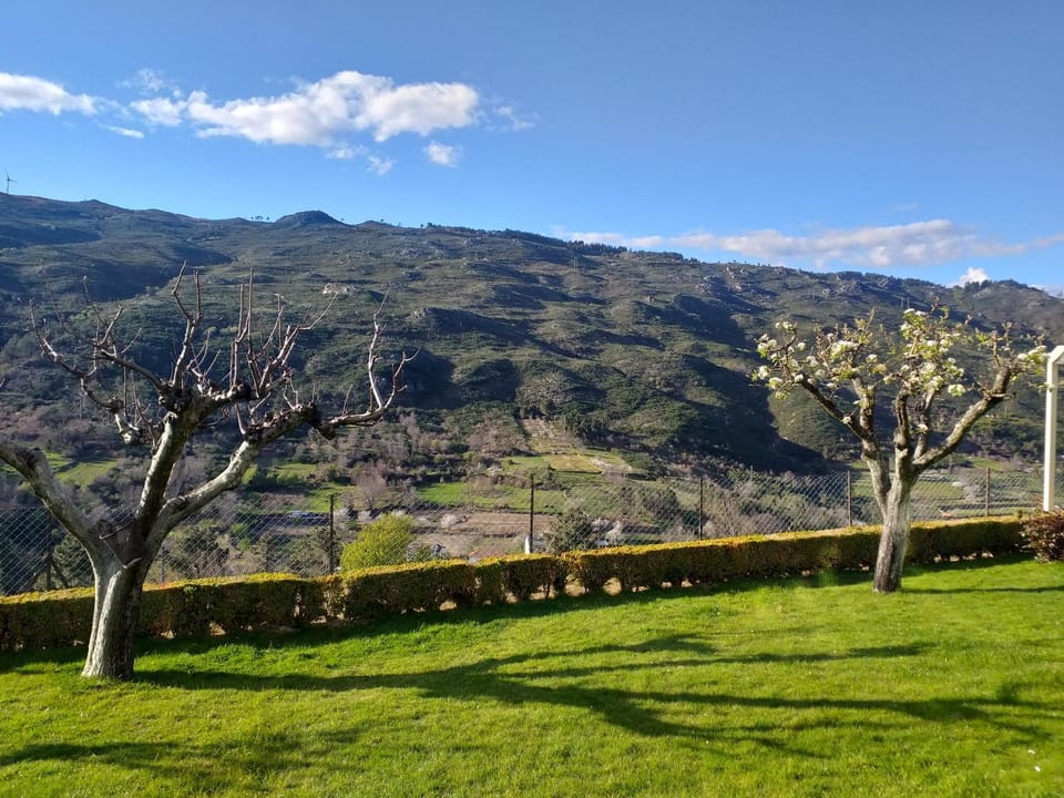 Natural landscape, Garden, Mountain view