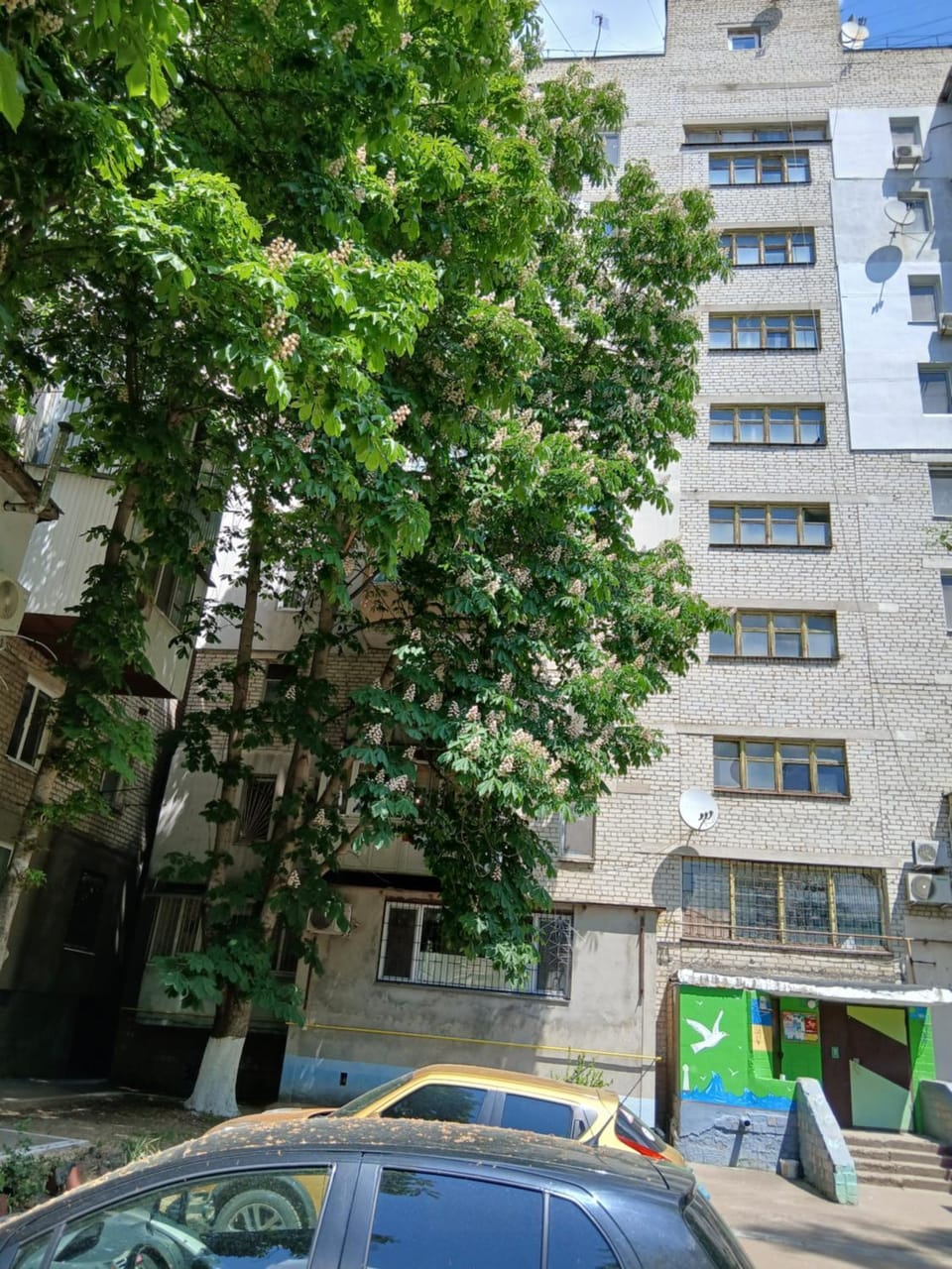 МЫ Вас ЖДЕМ Апартаменты у МОРЯ Apartment in Odessa