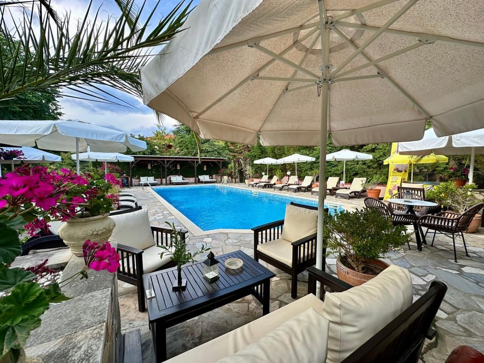 Patio, Day, Garden, Garden view, Pool view, Swimming pool, sunbed