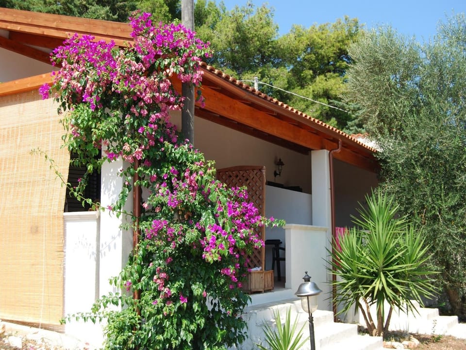 Facade/entrance, View (from property/room), Balcony/Terrace, Area and facilities