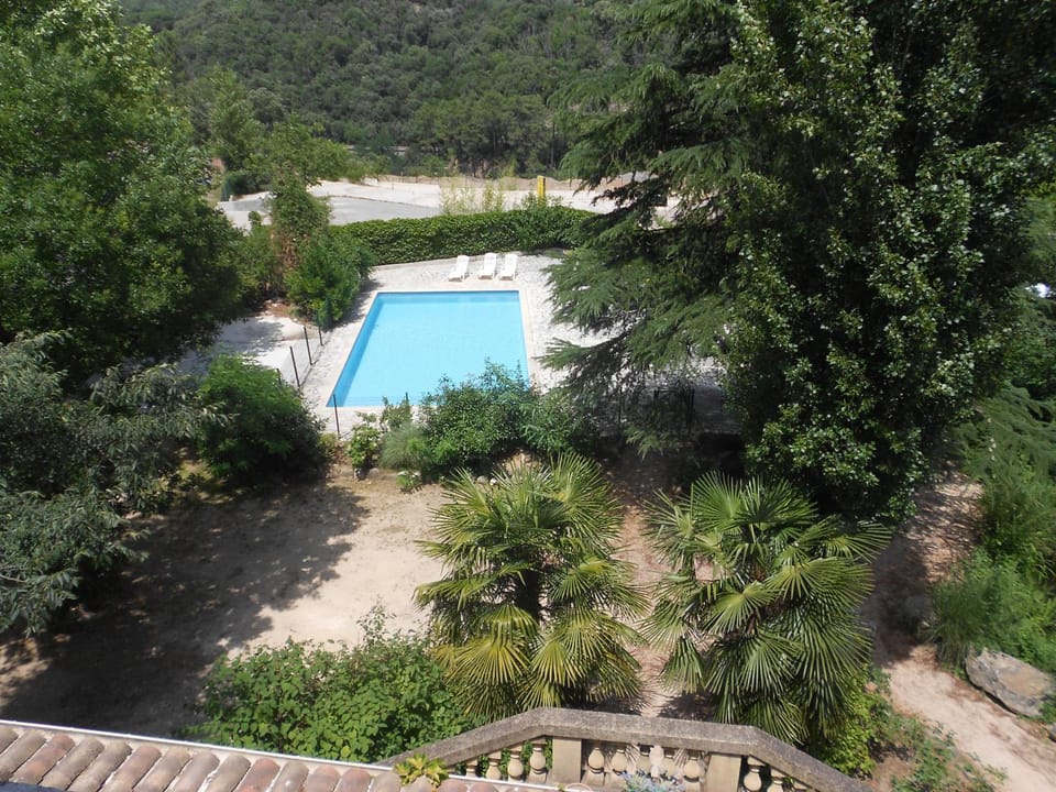 Garden, Swimming pool