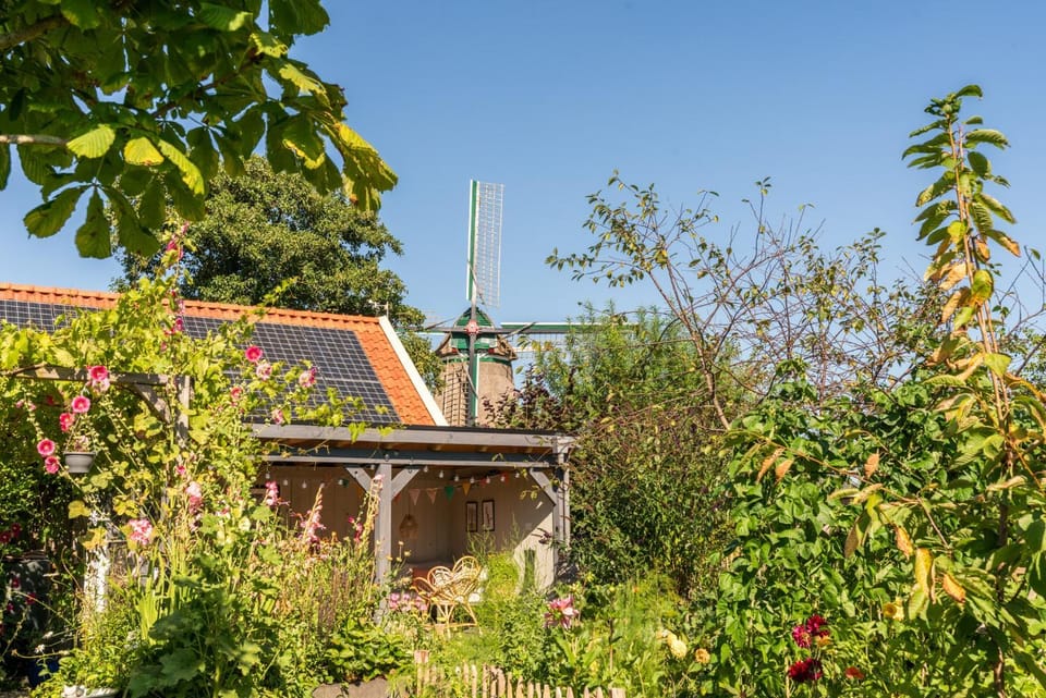 Spring, Day, Garden, Garden view