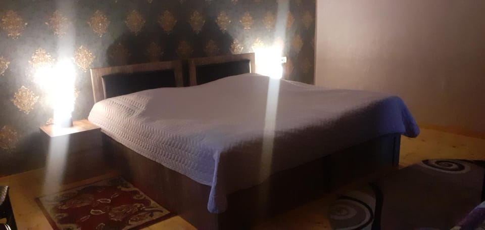 Kaxa Shorena Guest-House Bed and Breakfast in Georgia