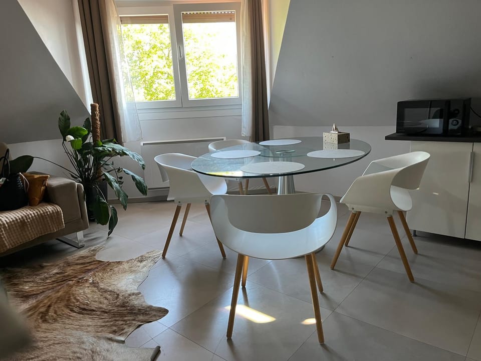Studio Strasbourg Apartment in Strasbourg