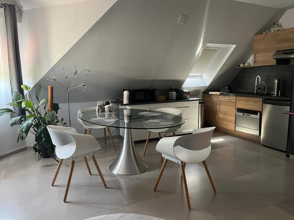 Studio Strasbourg Apartment in Strasbourg