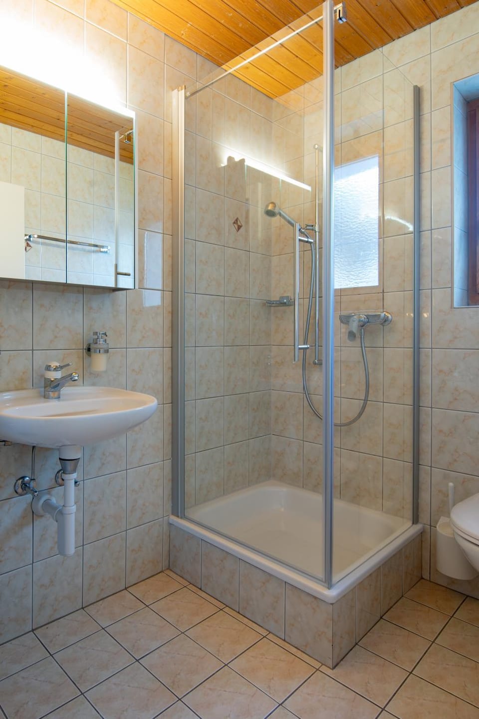 Shower, Toilet