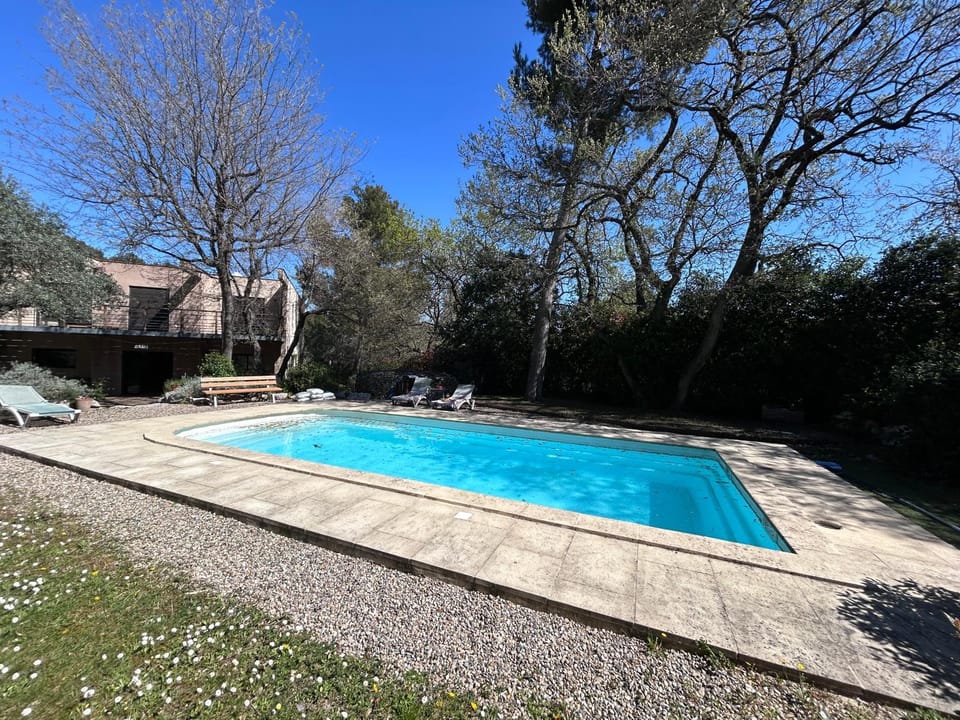 Spring, Day, Garden, Garden view, Pool view, Swimming pool, sunbed