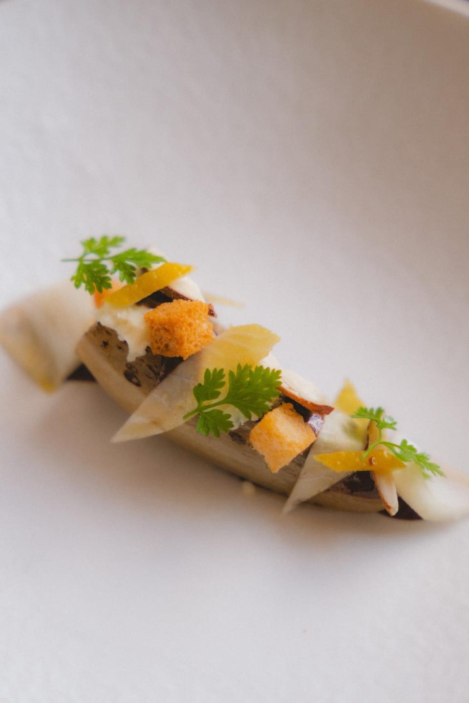 Domaine Riberach - Hotel 4 - Restaurant gastronomique - Spa - Piscine - Vignoble Hotel in Occitanie