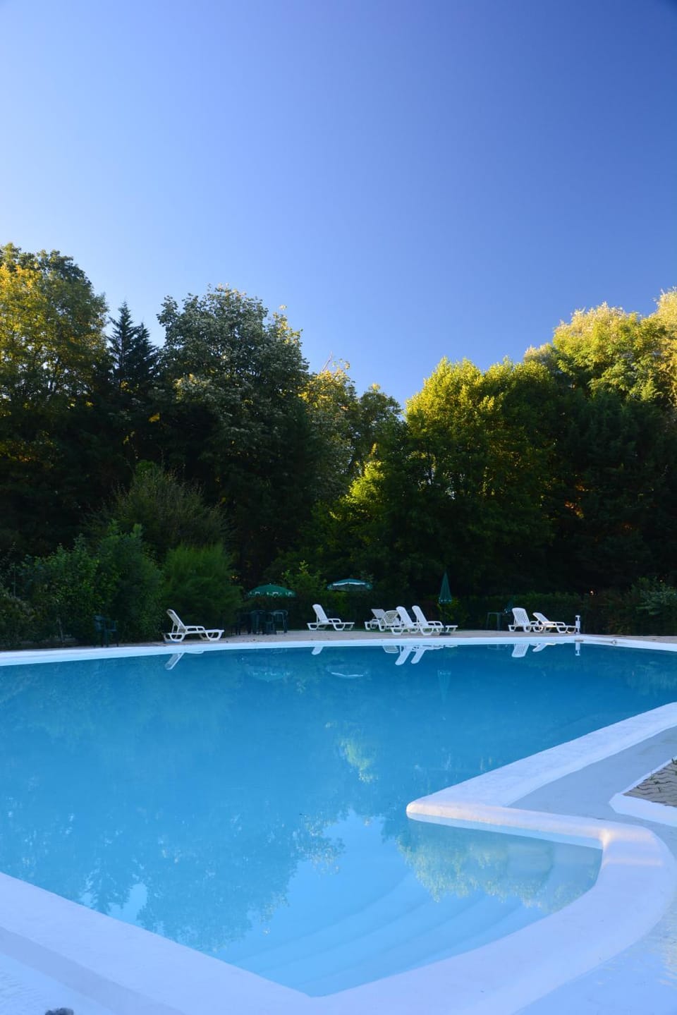 Garden, Swimming pool, Swimming pool