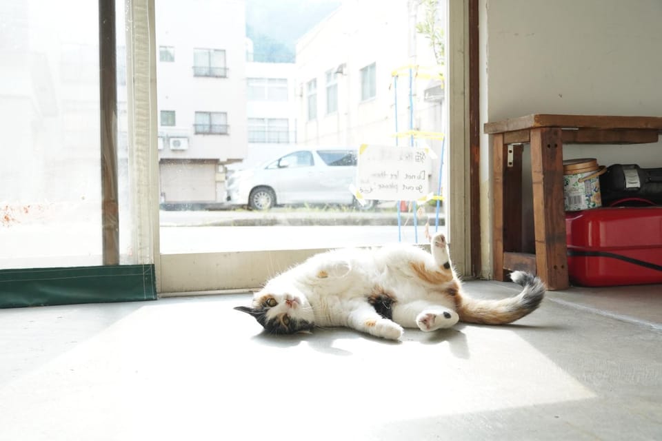 Sansan Yuzawa Backpackers Bed and Breakfast in Japan