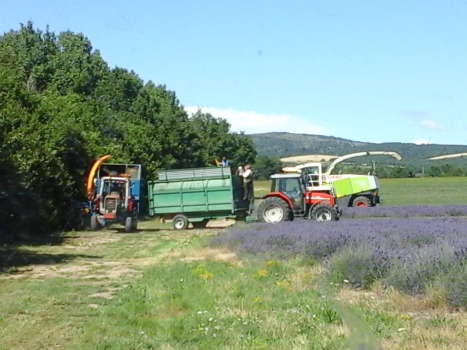 Chambre pour cyclistes au Mt Ventoux Country House in Provence-Alpes-Côte d'Azur