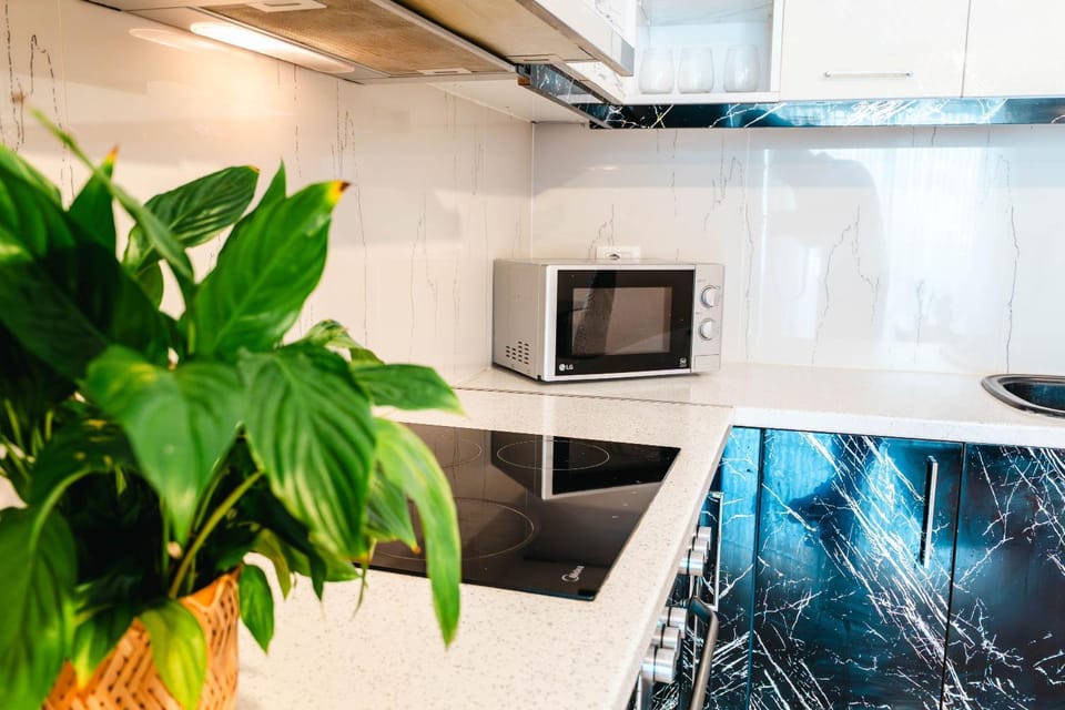 Kitchen or kitchenette, microwave