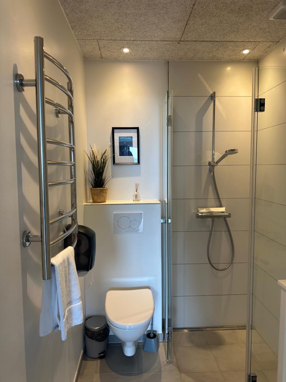 Shower, Toilet, Bathroom, towels