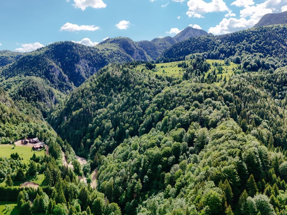Natural landscape